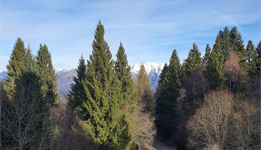 Appartamento in montagna